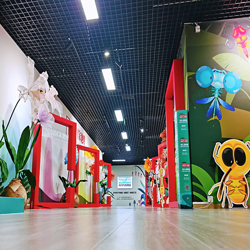 中國國家地理自然教育中心昆蟲(chóng)展巡展